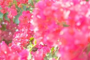 16銀行 在籍確認なしでお金借りれる?